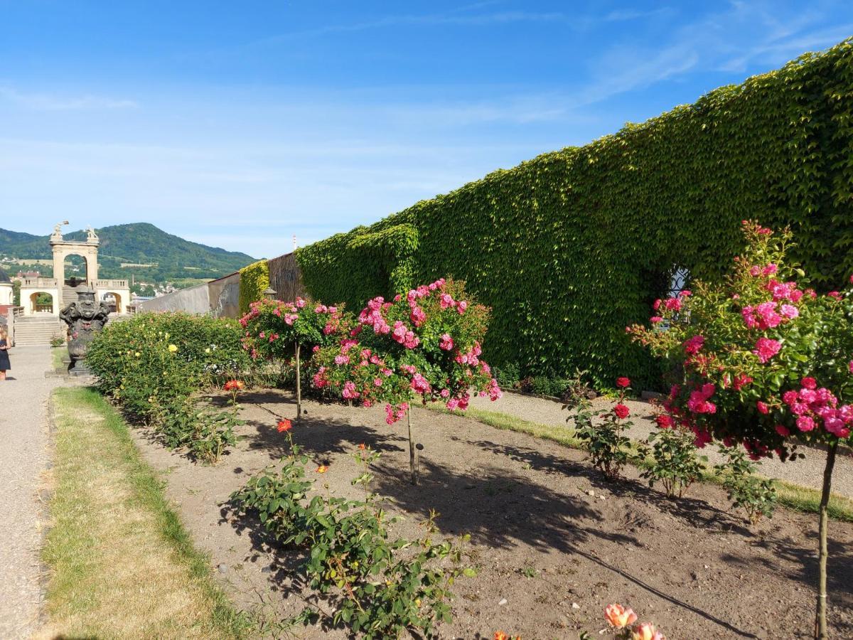 Apartments Rose Garden Decin Dış mekan fotoğraf
