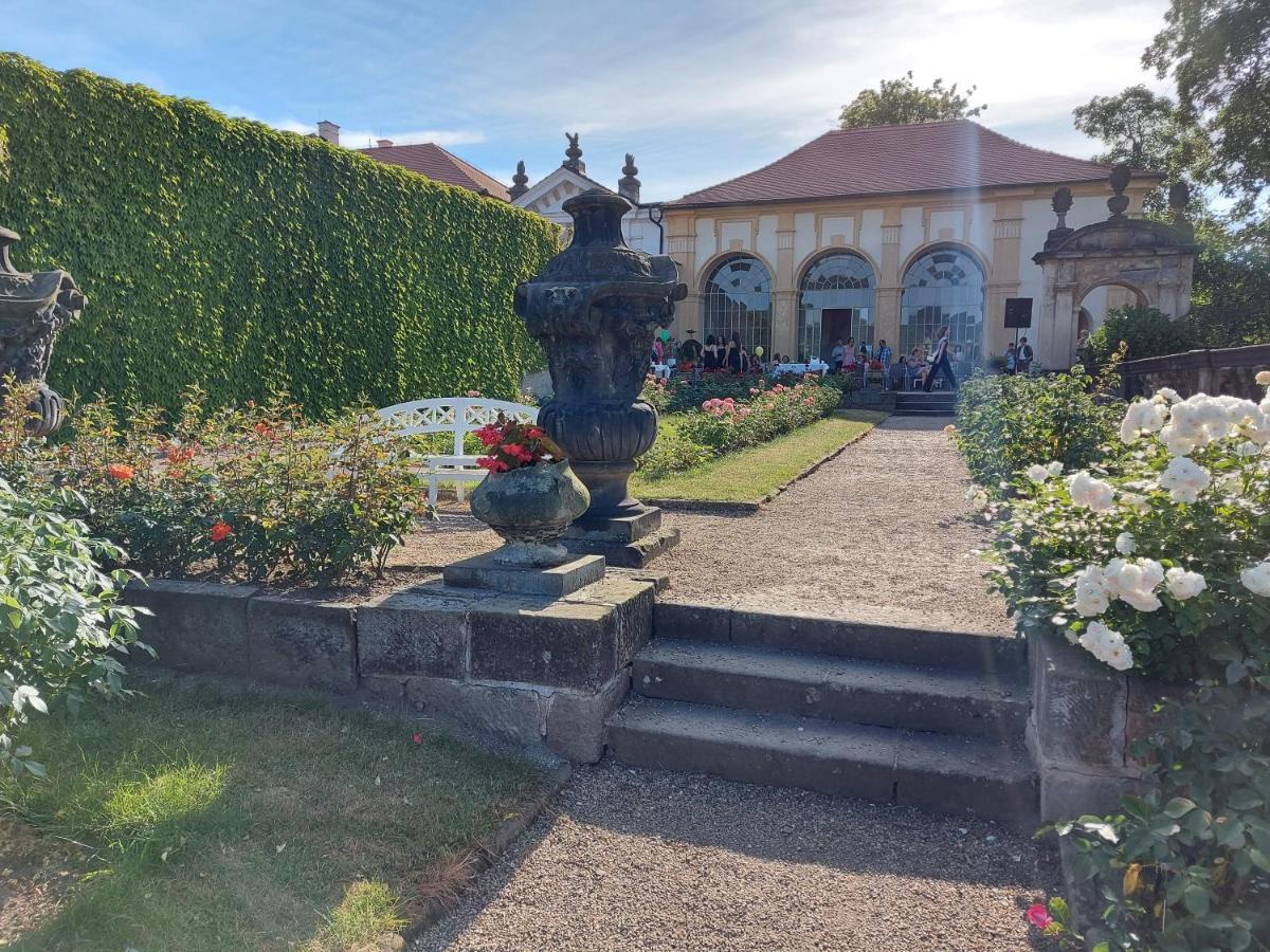 Apartments Rose Garden Decin Dış mekan fotoğraf